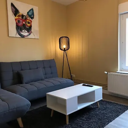 Confort - Centre - - Salle De Sport - 45 M2 Apartament