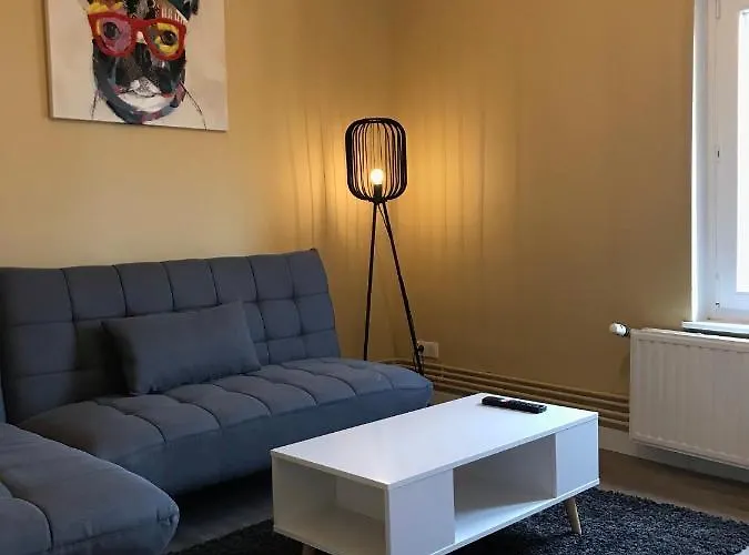 Confort - Centre - - Salle De Sport - 45 M2 Apartment